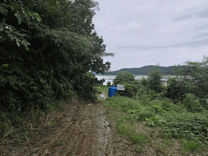 충청남도 태안군 근흥면 마금리 1225 답 경매 사진 4