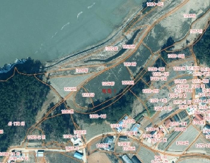 충청남도 태안군 근흥면 마금리 1225 답 경매 사진 7