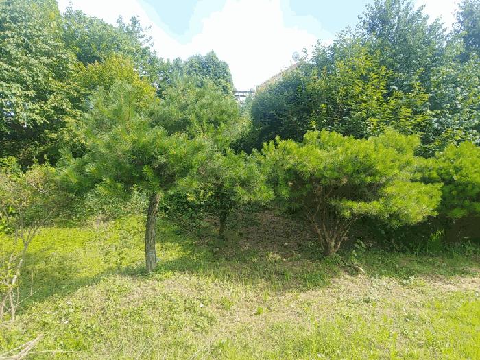 충청남도 당진시 정미면 모평리 348 주택 경매 사진 10