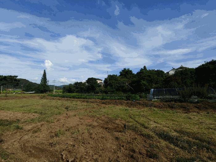 충청남도 당진시 정미면 모평리 348 주택 경매 사진 14