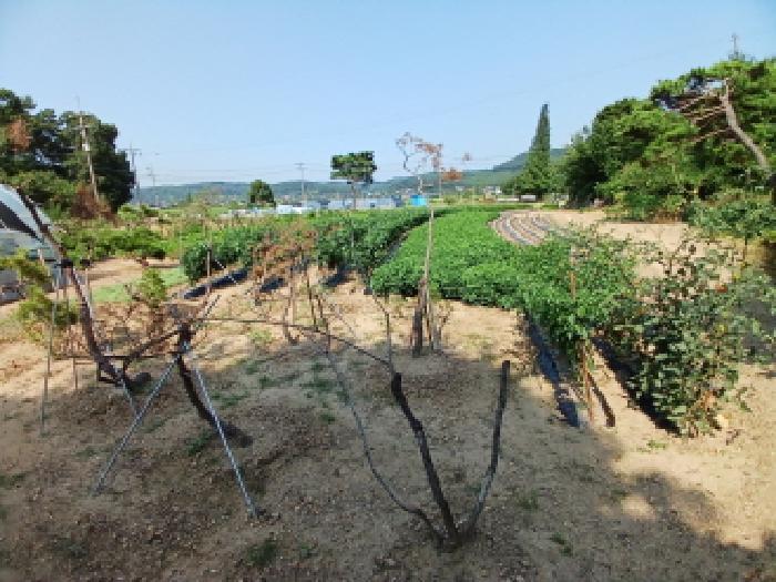 충청남도 당진시 정미면 모평리 348 주택 경매 사진 23