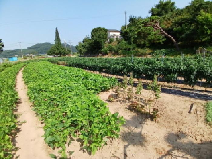 충청남도 당진시 정미면 모평리 348 주택 경매 사진 24
