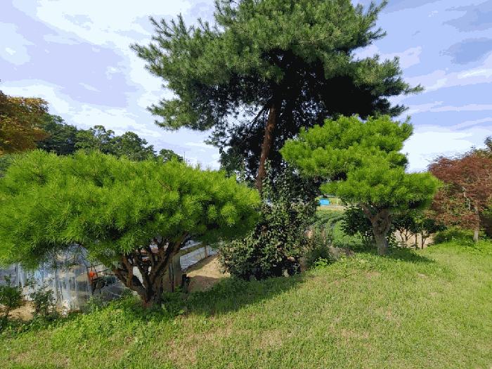 충청남도 당진시 정미면 모평리 348 주택 경매 사진 4