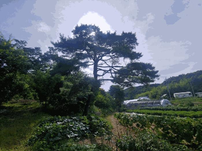 충청남도 당진시 정미면 모평리 348 주택 경매 사진 5