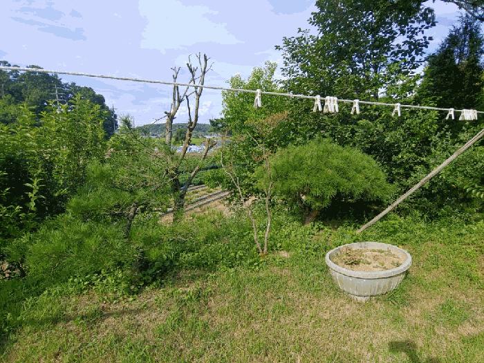 충청남도 당진시 정미면 모평리 348 주택 경매 사진 6