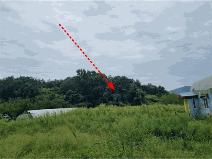 세종 연서면 임야