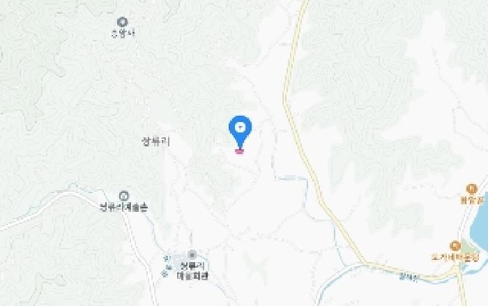 세종특별자치시 연서면 쌍류리 94-23 임야 경매 사진 9