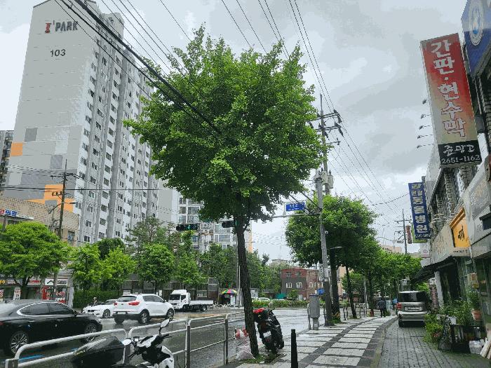 서울특별시 강서구 등촌동 715 등촌동아이파크 제117동 제12층 제1202호 아파트 경매 사진 6