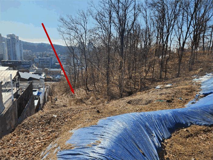 경기도 용인시 기흥구 보라동 298-46 임야 경매 사진 2