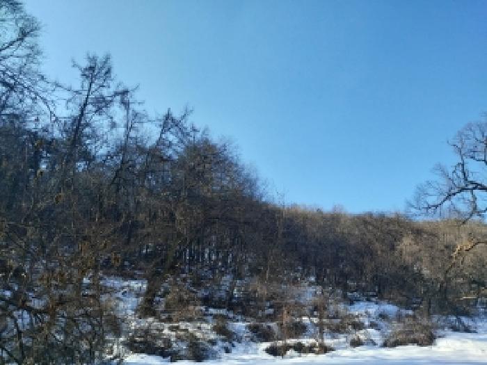 경기도 용인시 수지구 동천동 산82-3 임야 경매 사진 4