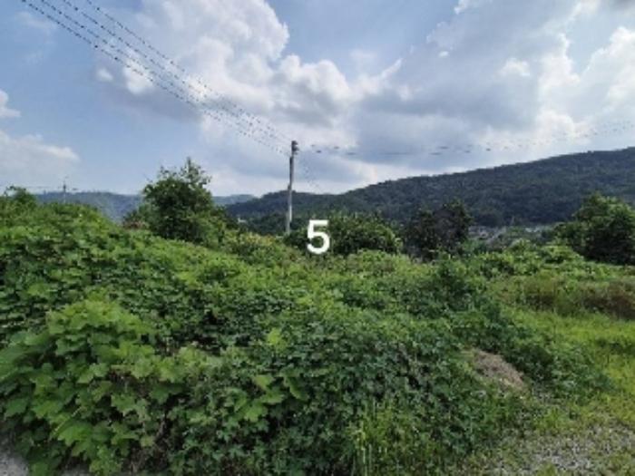 경기도 양평군 강상면 세월리 494 대지 경매 사진 15