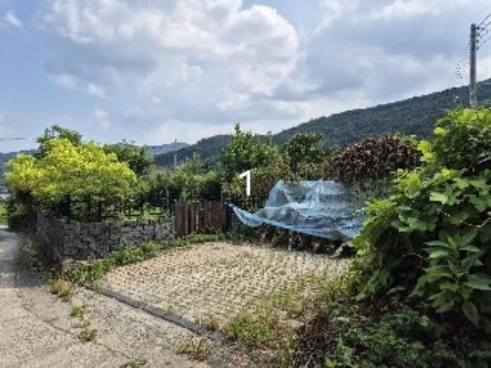 경기도 양평군 강상면 세월리 494 대지 경매 사진 8