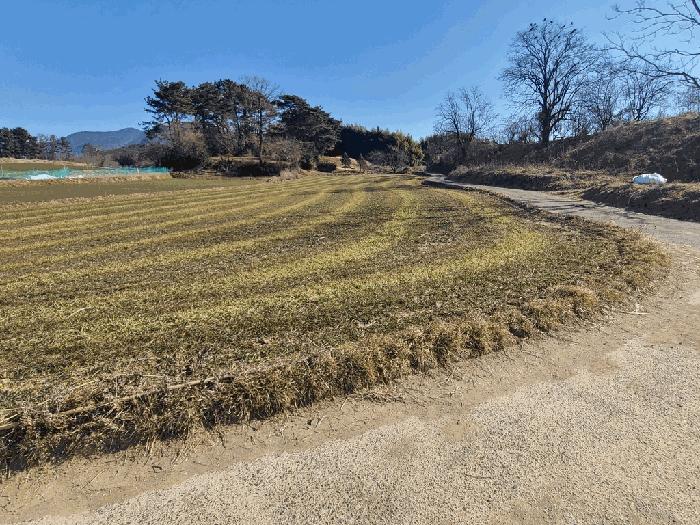울산광역시 울주군 두동면 이전리 601-5 전 경매 사진 3