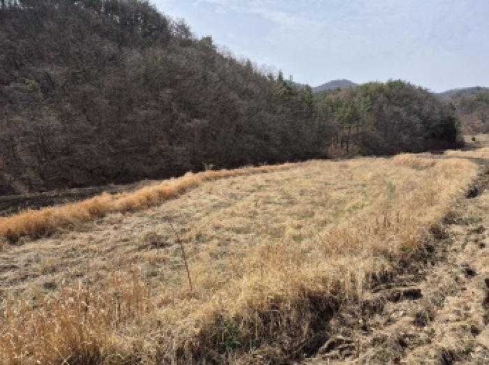 울산광역시 울주군 온양읍 외광리 742-2 답 경매 사진 5