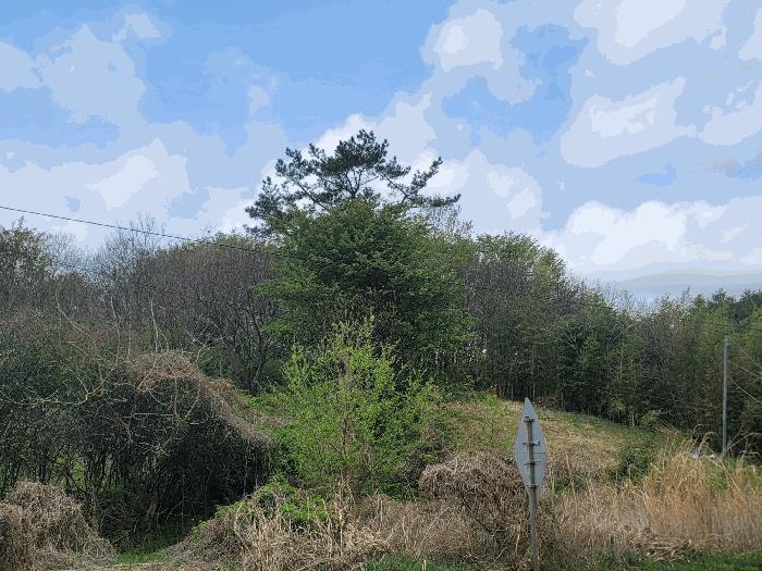 울산광역시 울주군 온양읍 외광리 4-13 임야 경매 사진 1