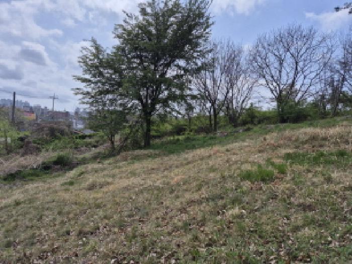 울산광역시 울주군 온양읍 외광리 4-13 임야 경매 사진 7