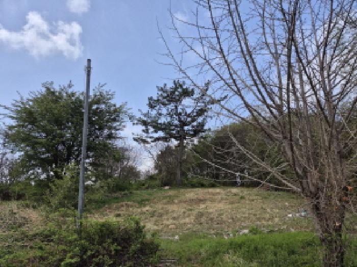 울산광역시 울주군 온양읍 외광리 4-13 임야 경매 사진 8