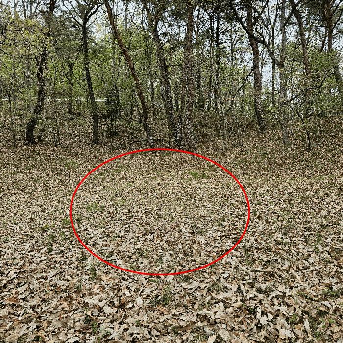 울산광역시 울주군 웅촌면 곡천리 산22-8 임야 경매 사진 1
