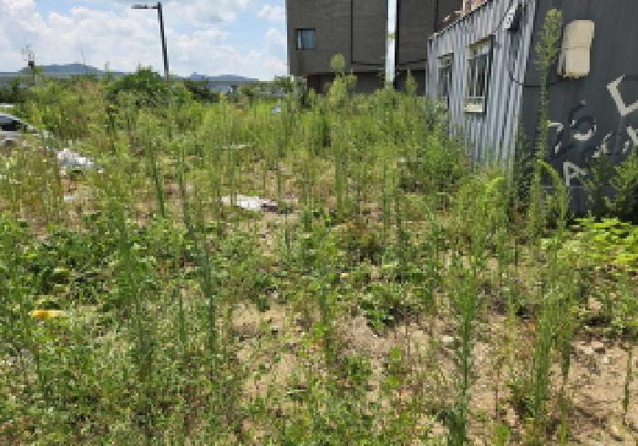 충청남도 아산시 탕정면 매곡리 1256 대지 경매 사진 17