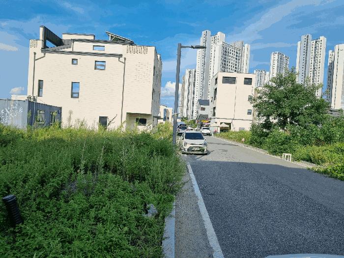 충청남도 아산시 탕정면 매곡리 1256 대지 경매 사진 2