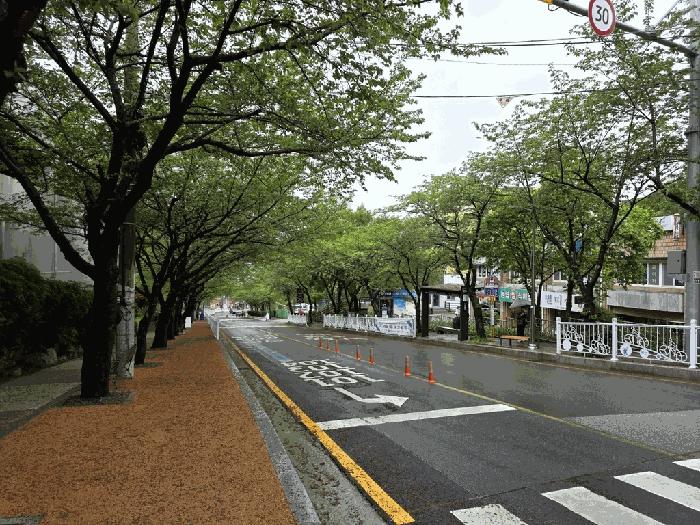 부산광역시 사상구 모라동 552 백양그린아파트 202동 10층1009호 아파트 경매 사진 6