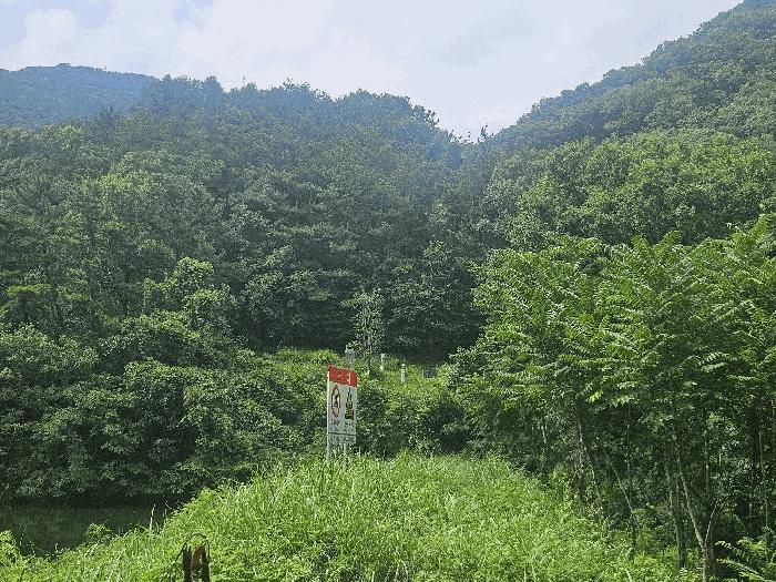 경상남도 김해시 임야