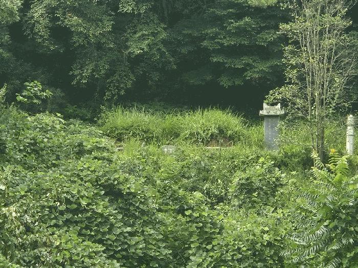 경상남도 김해시 삼계동 산126 임야 경매 사진 2