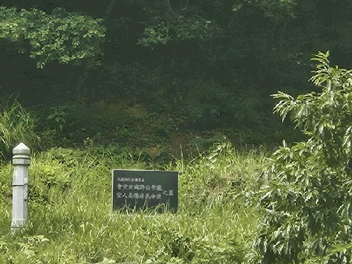 경상남도 김해시 삼계동 산126 임야 경매 사진 3