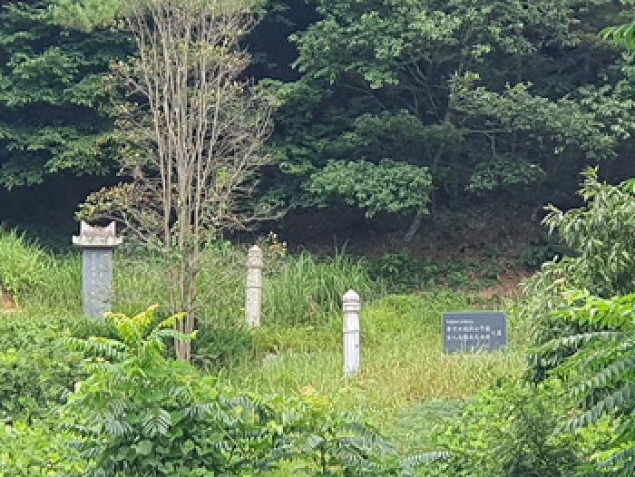 경상남도 김해시 삼계동 산126 임야 경매 사진 6