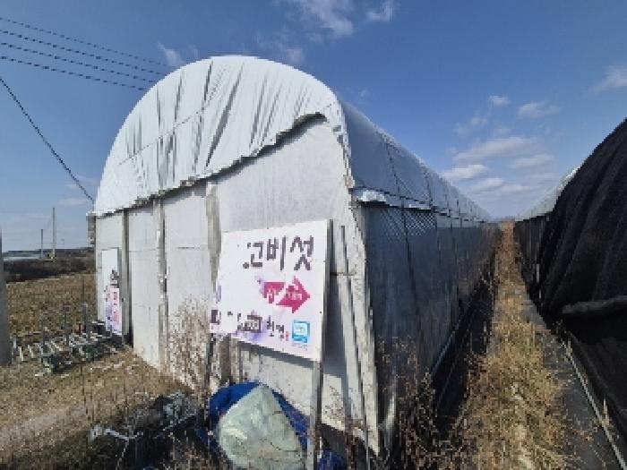 전라남도 나주시 봉황면 황용리 760-3 답 경매 사진 8