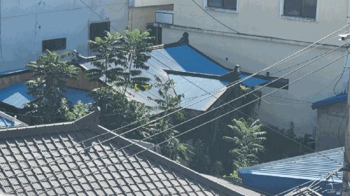 경상남도 김해시 진영읍 여래리 743-6 대지 경매 사진 14