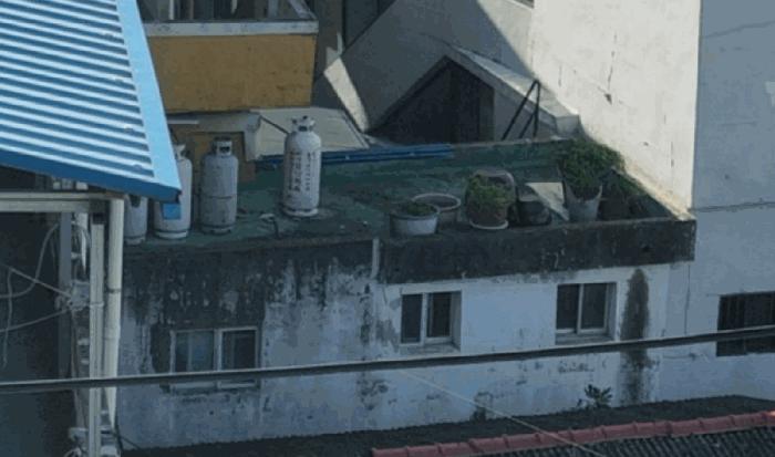 경상남도 김해시 진영읍 여래리 743-3 대지 경매 사진 16
