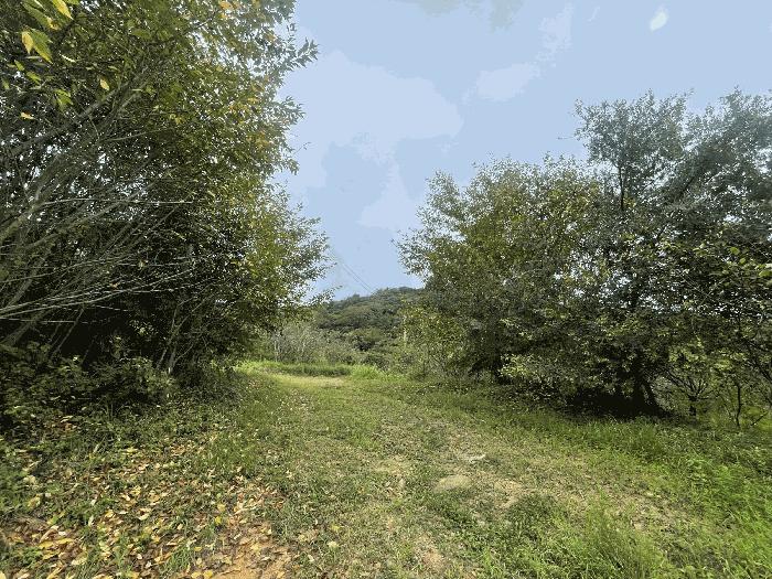 경상남도 창원시 진해구 자은동 470 과수원 경매 사진 1