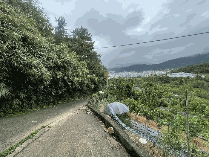 경상남도 창원시 진해구 자은동 470 과수원 경매 사진 6