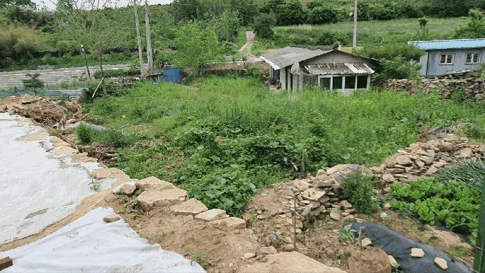 전라남도 곡성군 옥과면 합강리 540 대지 경매 사진 2