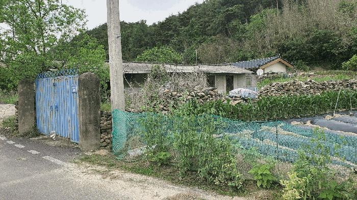 전라남도 곡성군 옥과면 합강리 540 대지 경매 사진 8