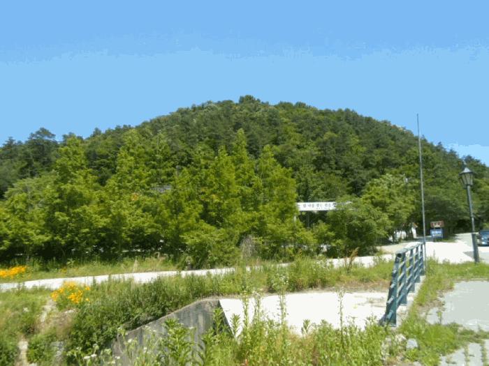 전라남도 담양군 담양읍 학동리 543-2 임야 경매 사진 7