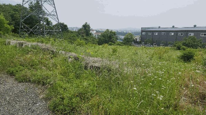 충청남도 아산시 음봉면 동암리 349-8 임야 경매 사진 11