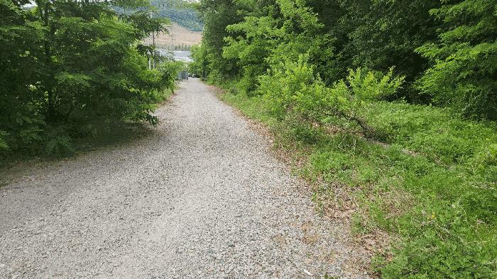 충청남도 아산시 음봉면 동암리 349-8 임야 경매 사진 12