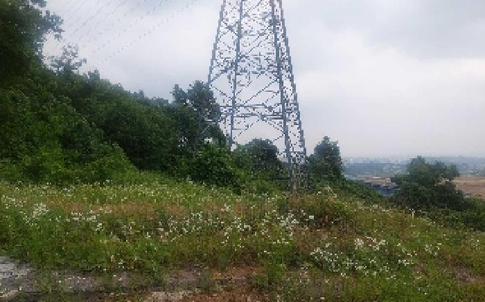 충청남도 아산시 음봉면 동암리 349-8 임야 경매 사진 21