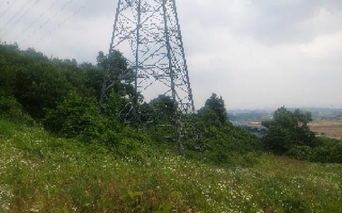 충청남도 아산시 음봉면 동암리 349-8 임야 경매 사진 23