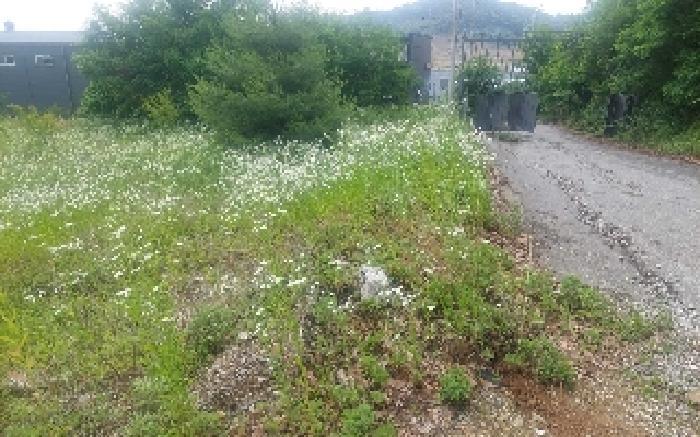 충청남도 아산시 음봉면 동암리 349-8 임야 경매 사진 25