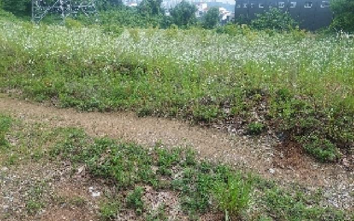 충청남도 아산시 음봉면 동암리 349-8 임야 경매 사진 37