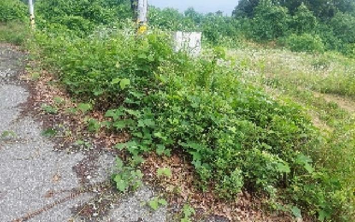 충청남도 아산시 음봉면 동암리 349-8 임야 경매 사진 40