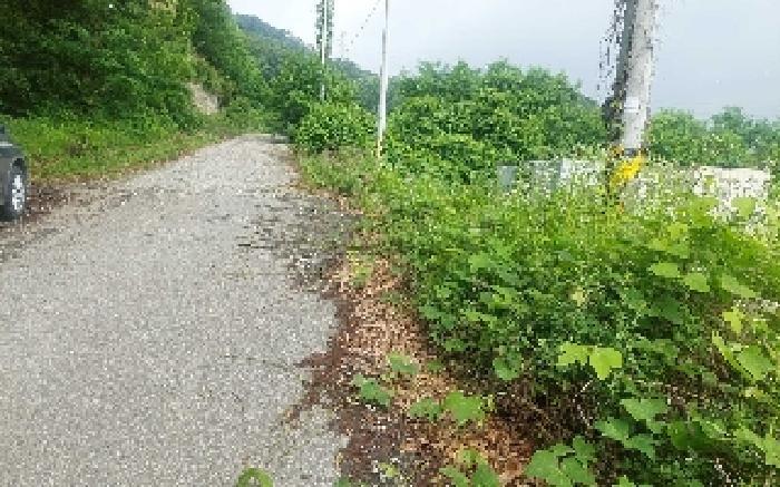 충청남도 아산시 음봉면 동암리 349-8 임야 경매 사진 41