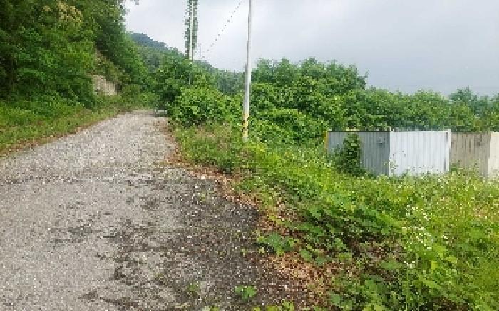 충청남도 아산시 음봉면 동암리 349-8 임야 경매 사진 42