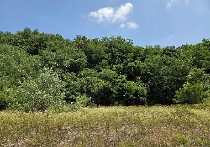 충청남도 아산시 염치읍 서원리 70-4 창고 경매 사진 41