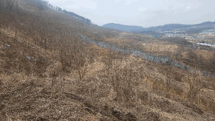충청남도 아산시 음봉면 동암리 336 답 경매 사진 10