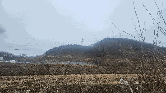 충청남도 아산시 음봉면 동암리 336 답 경매 사진 11