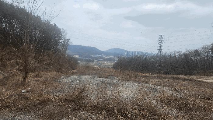 충청남도 아산시 음봉면 동암리 336 답 경매 사진 16